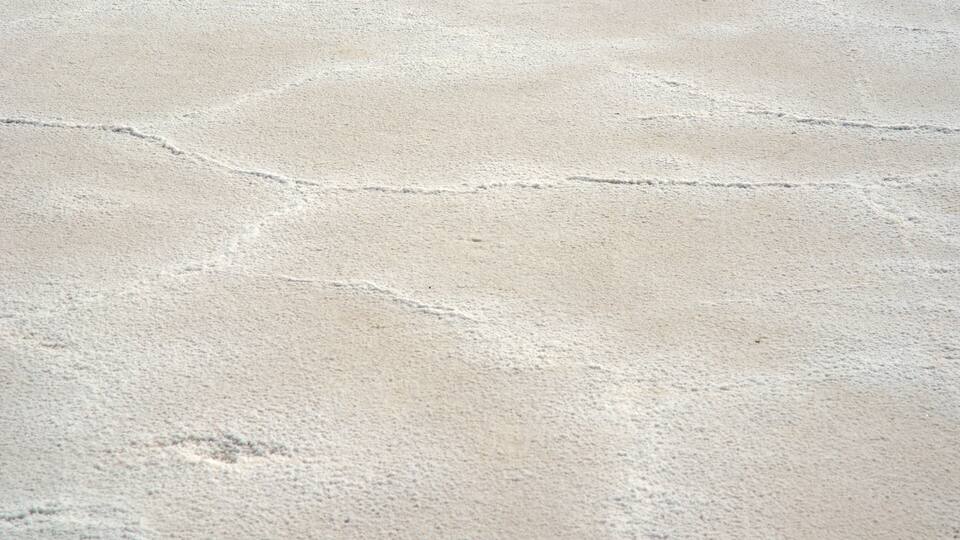 A close-up of a sandy surface with visible cracks and patterns.