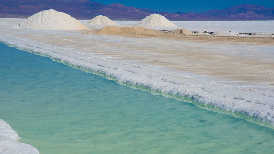 A salt flat with white salt formations and clear turquoise water.