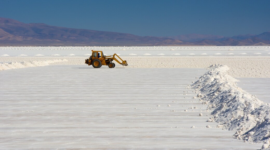 Jujuy showing a lake or waterhole