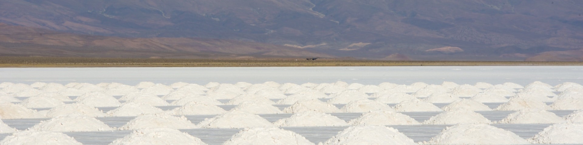 Jujuy caracterizando um lago ou charco