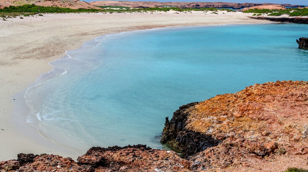 達馬尼亞島自然保護區