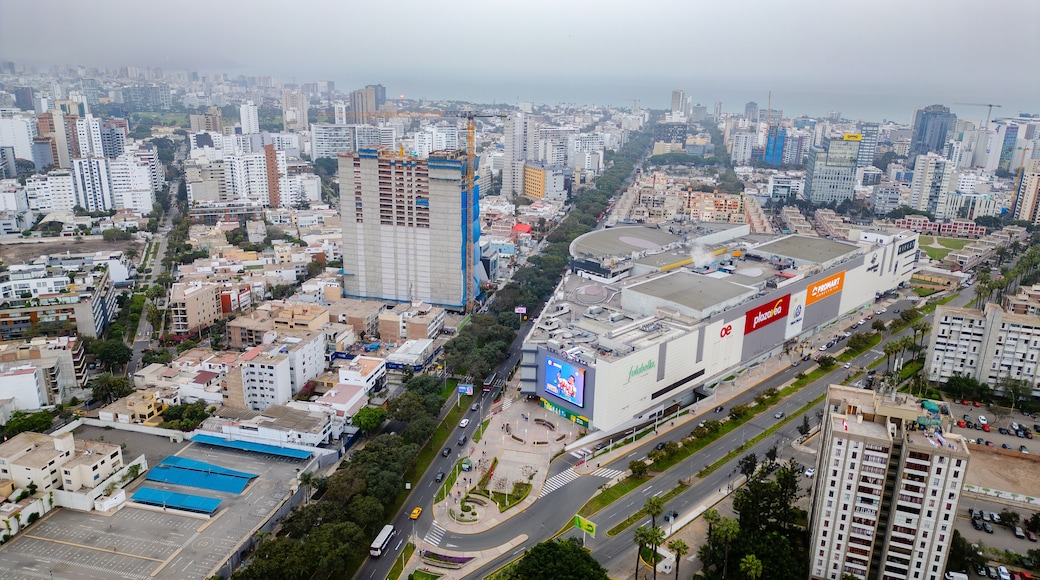 Aerial View of Real Plaza Salaverry in Lima, Peru.