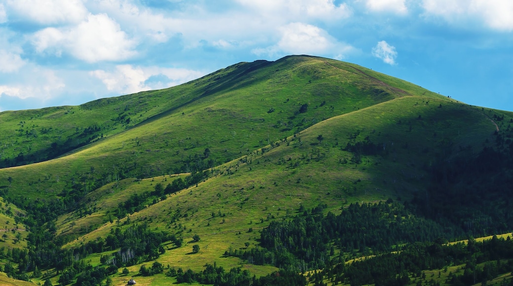 Green Zlatibor mountain hill landscape with beautiful clouds in background