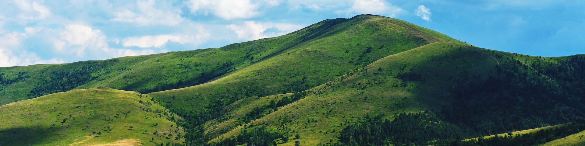 Green Zlatibor mountain hill landscape with beautiful clouds in background