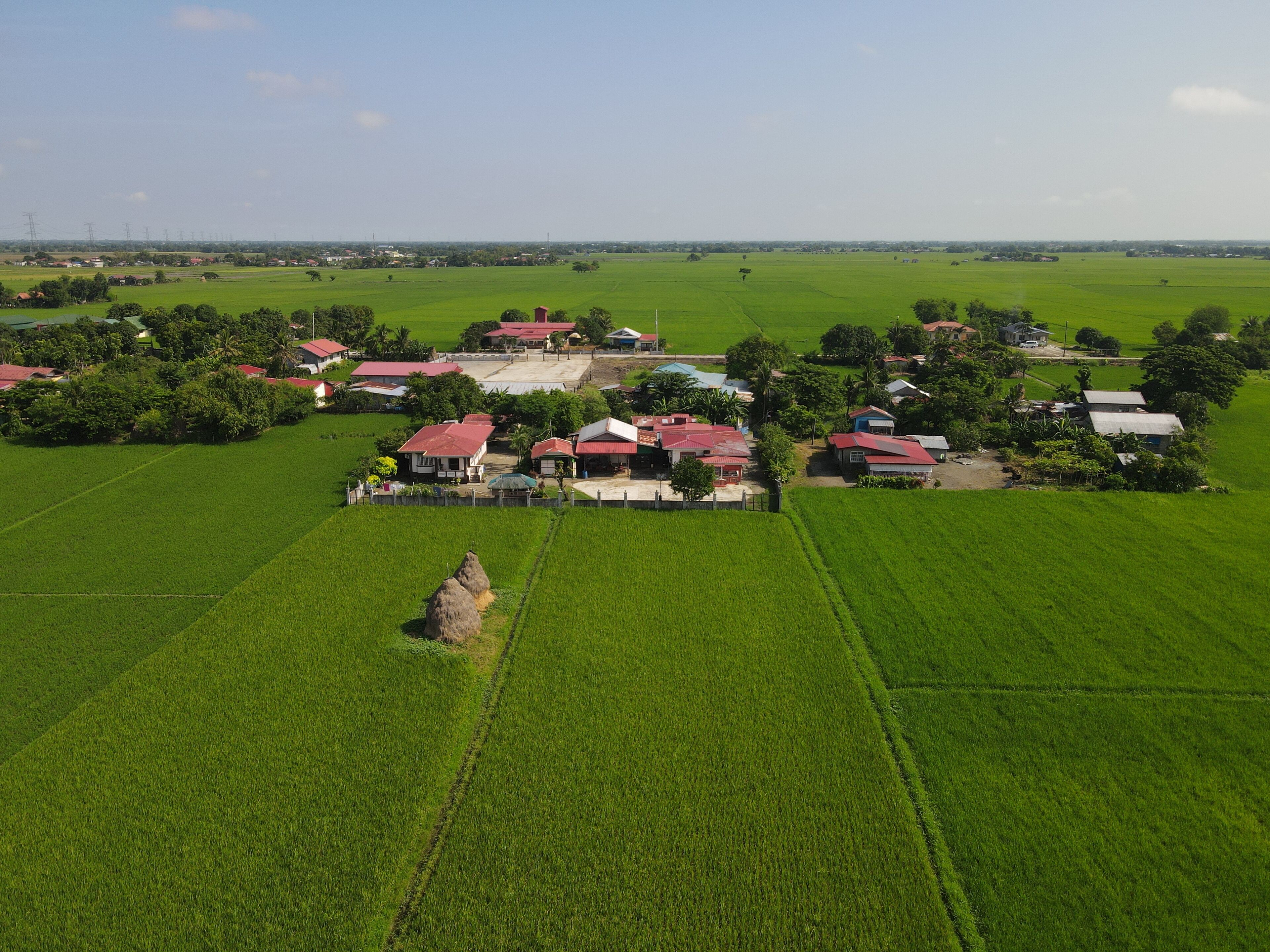 A rural landscape with green fields, red-roofed houses, and a clear sky.