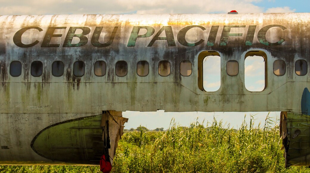 This plane from Cebu Pacific was abandoned on the side of the road at brgy. Paligue, Candaba Pampanga. Some says that a foreigner bought it to be a tourist spot and a restaurant. Candaba swamp is a haven for the migratory birds from Russia and neighboring countries.