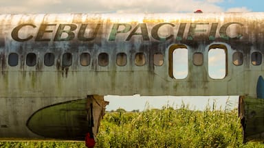 This plane from Cebu Pacific was abandoned on the side of the road at brgy. Paligue, Candaba Pampanga. Some says that a foreigner bought it to be a tourist spot and a restaurant. Candaba swamp is a haven for the migratory birds from Russia and neighboring countries.