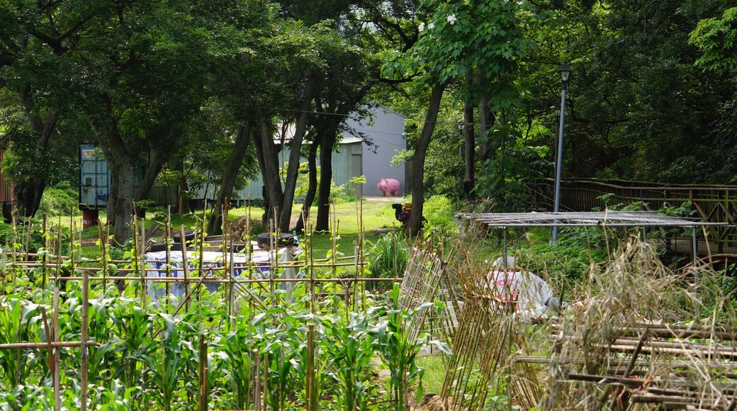 Dahukou Station Park 大湖口車站公園