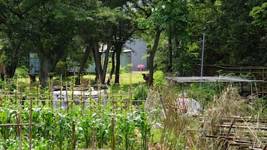 Dahukou Station Park 大湖口車站公園