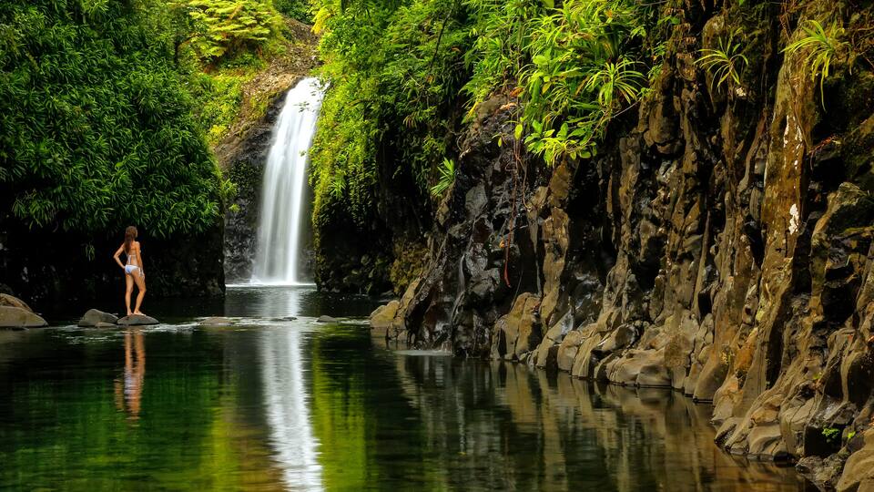 A waterfall, lush greenery, and a person standing by the water.