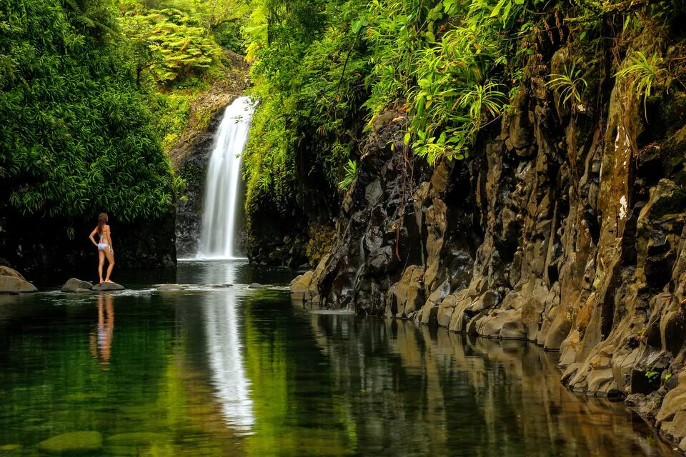 Uma cascata, vegetação exuberante e uma pessoa à beira da água.
