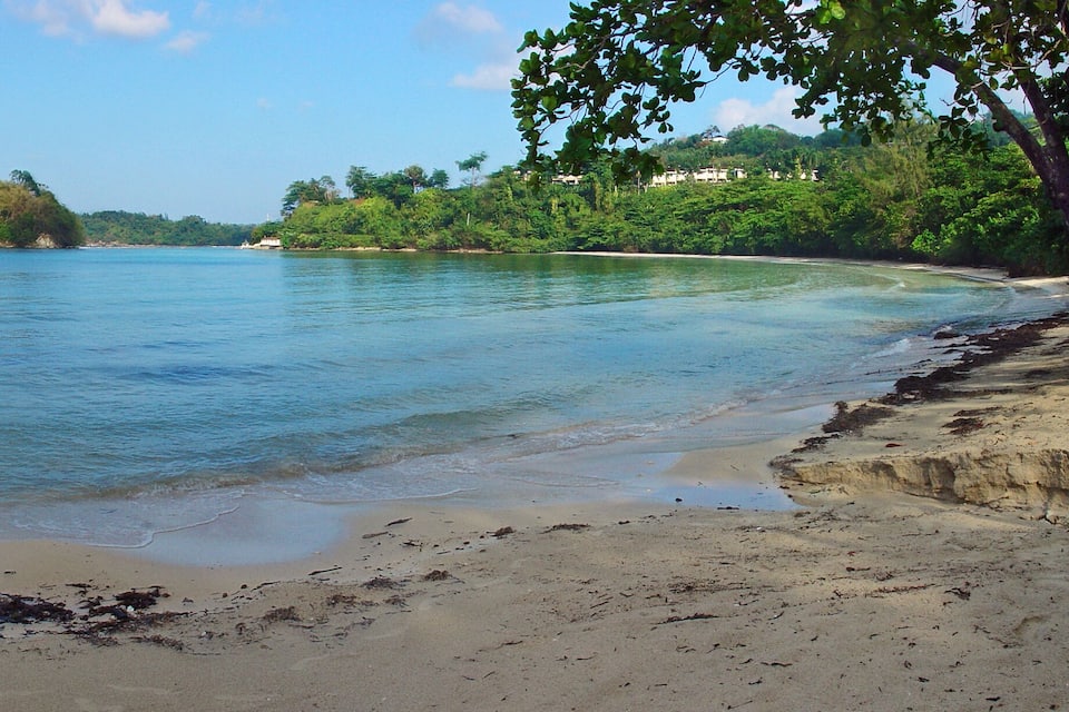 A beach with clear turquoise water, a large tree trunk in the sand, and a small island in the distance.
