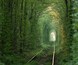 Natural tunnel of love formed by trees in Ukraine, Klevan., Shutterstock ID 116566117, Purchase Order: -