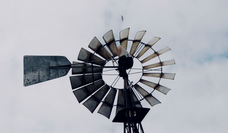 0_Windmill-Los-Lobos
