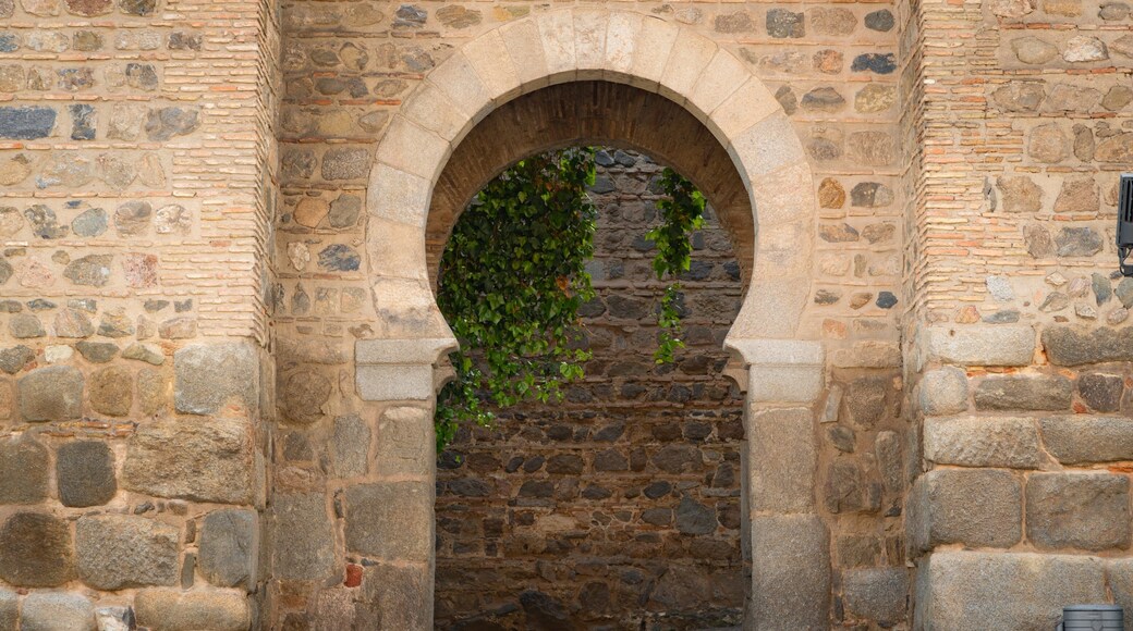 Puerta de Alcantara showing heritage elements