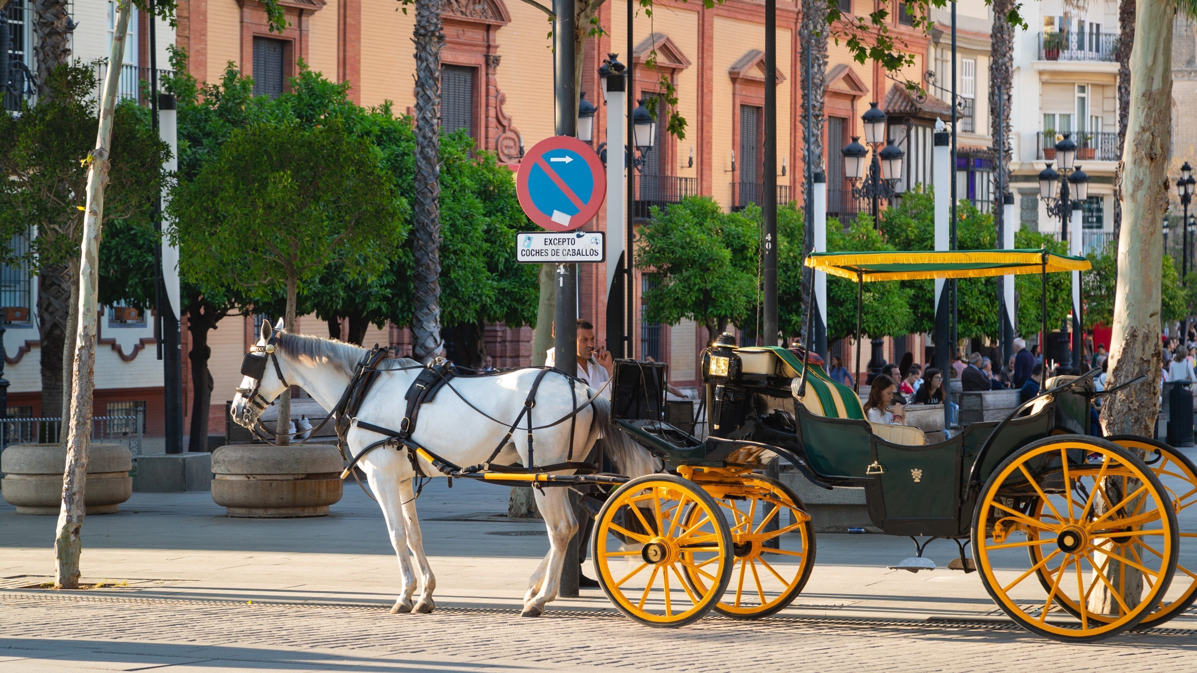 Plaza de Puerta Jerez which includes heritage elements and land animals
