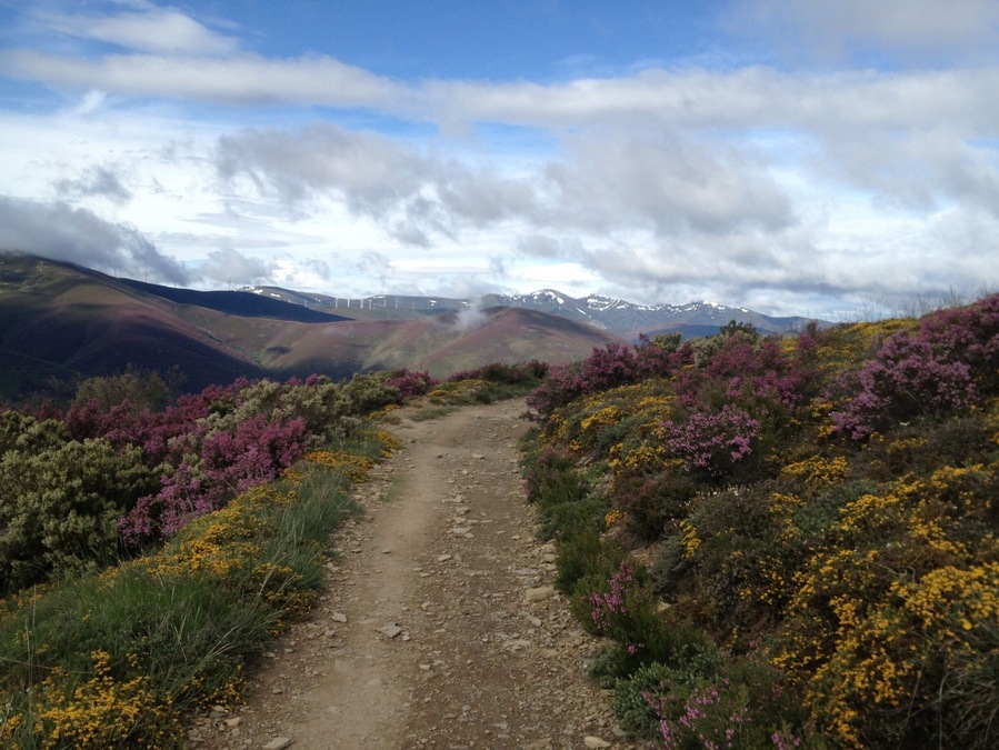 Really beautiful sights hiking over the last two big mountain ranges before reaching Santiago de Compostela