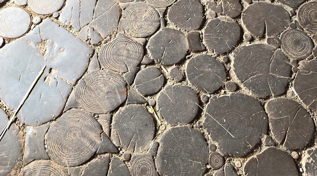 The floor of a hut was rather interesting.