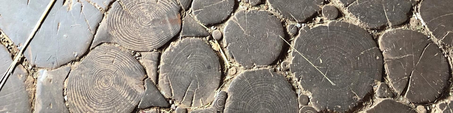 The floor of a hut was rather interesting.