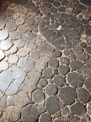 The floor of a hut was rather interesting.