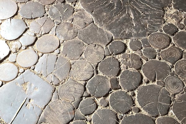 The floor of a hut was rather interesting.