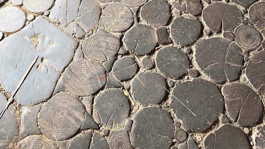 The floor of a hut was rather interesting.