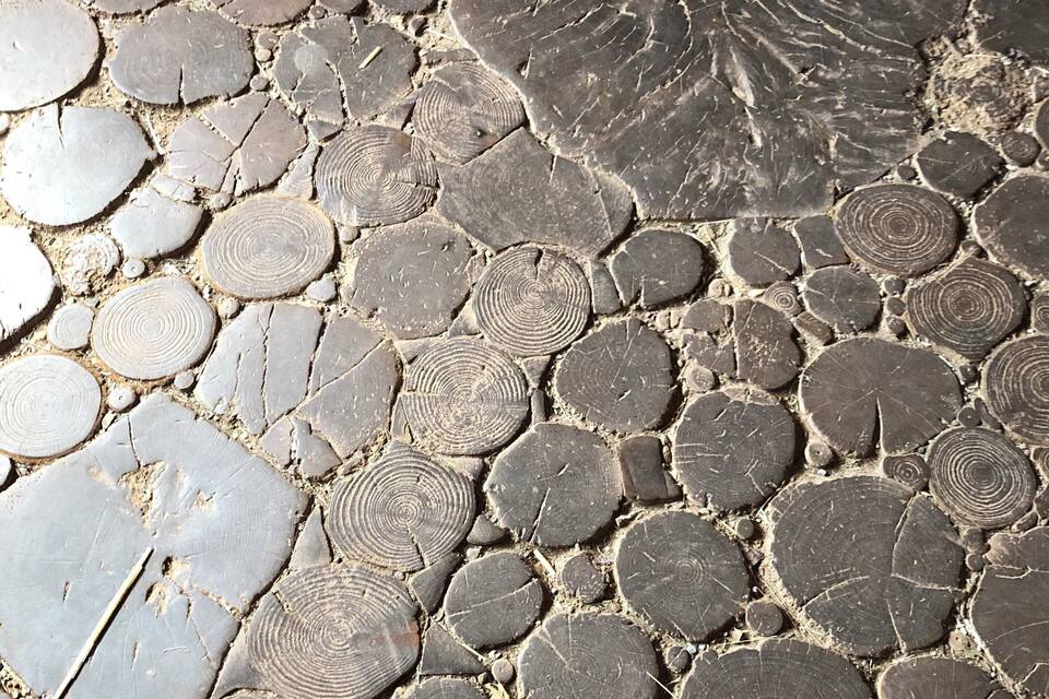 A close-up of a stone pavement with circular patterns.