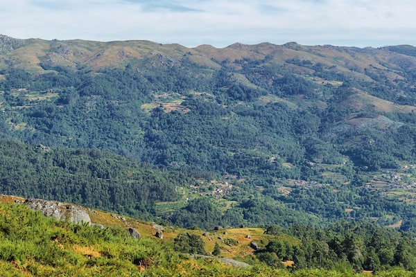 A mountainous landscape with dense forests and scattered rocky outcrops.