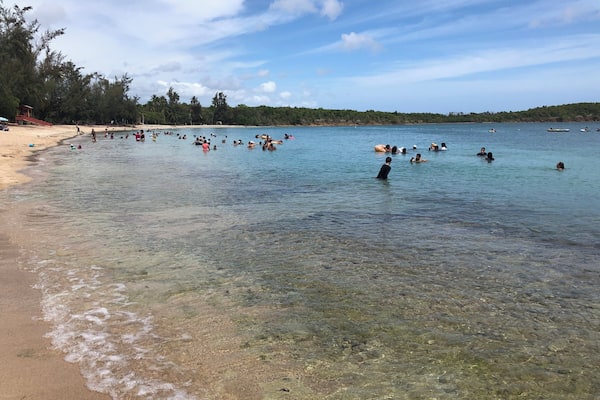 Perfect place to swim, snorkel & kayak.