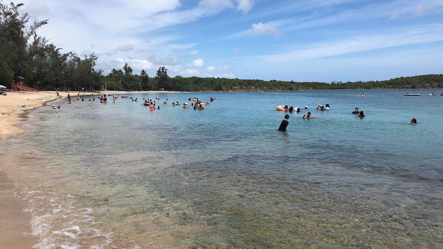Perfect place to swim, snorkel & kayak.