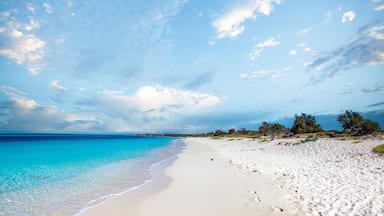 Heavenly Bahía de las Águilas beach with one of the most crstalline waters in the world, Pedernales province, Dominican Republic