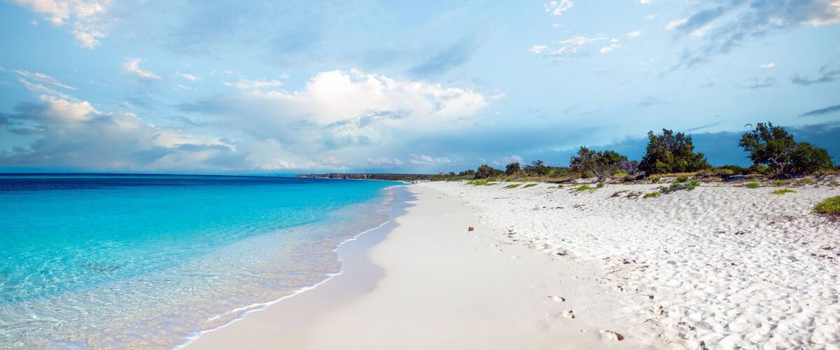 A beach with clear turquoise water, white sand, and scattered trees under a partly cloudy sky.