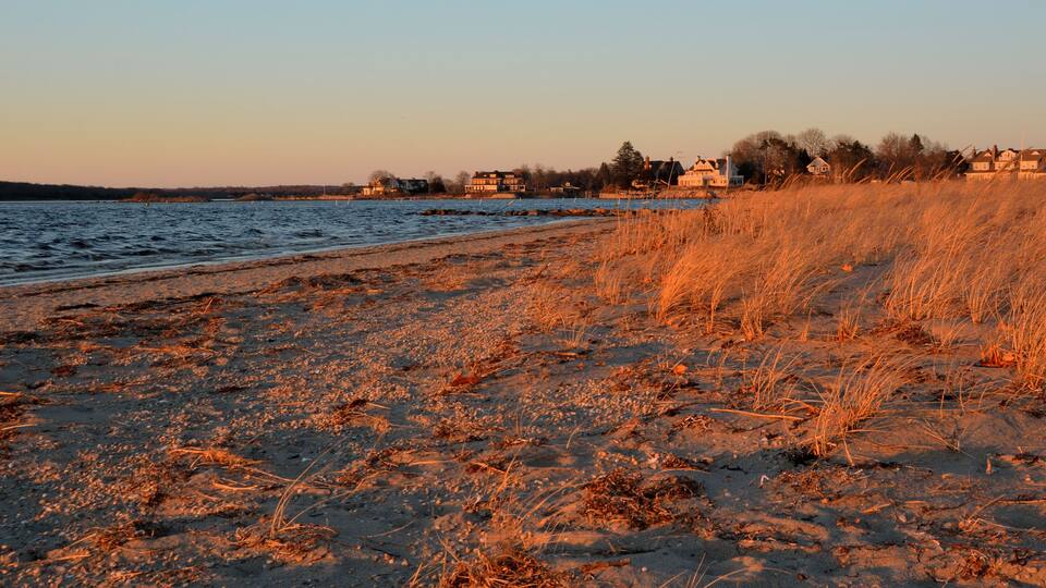 A beach with golden grasses and houses in the background.