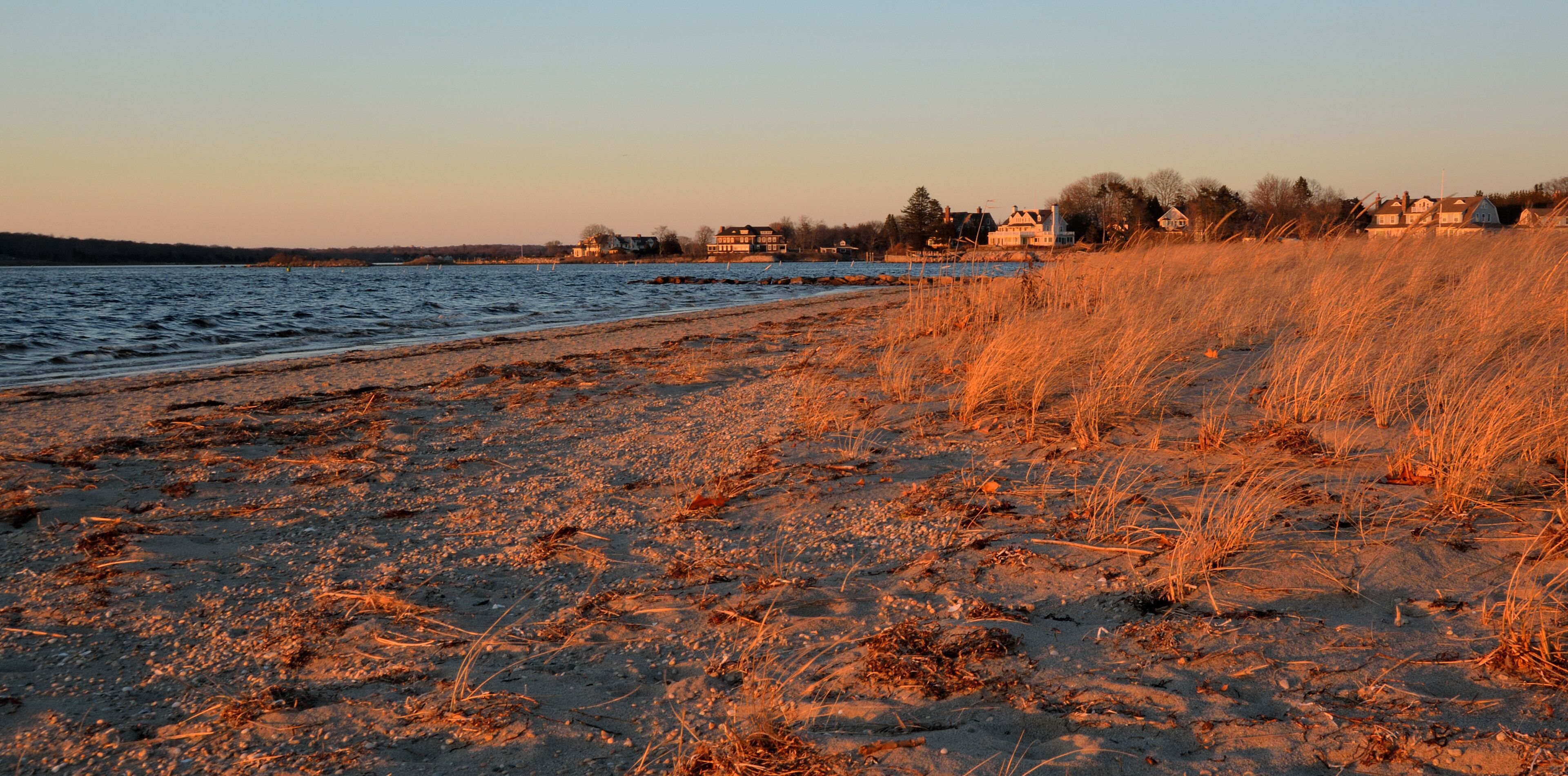 A beach with golden grasses and houses in the background.