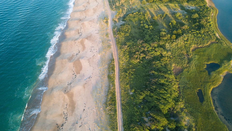 A coastal landscape with a sandy beach, a forested area, and a road running parallel to the shore.