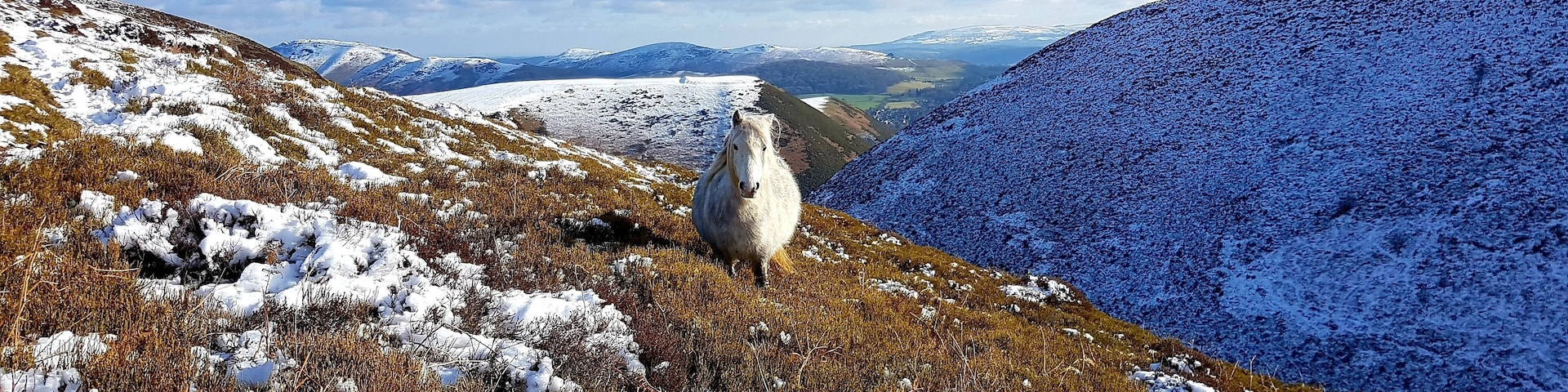 Great views with lots of wild horses around