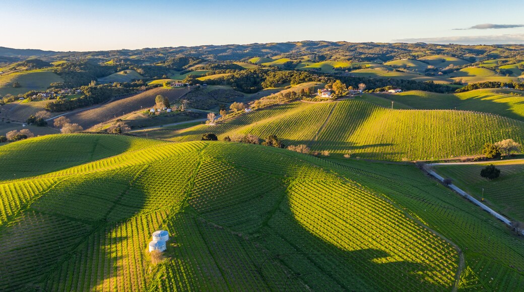 Paso Robles
