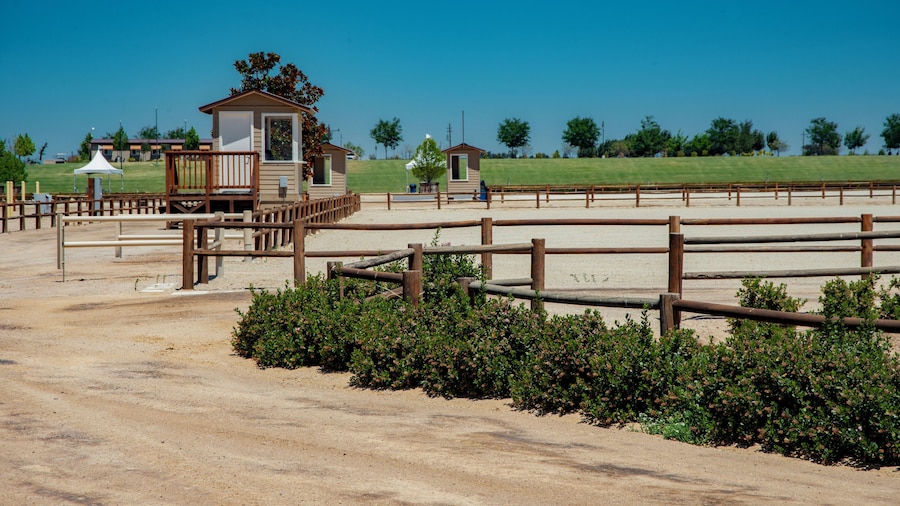 Taman Kuda Paso Robles