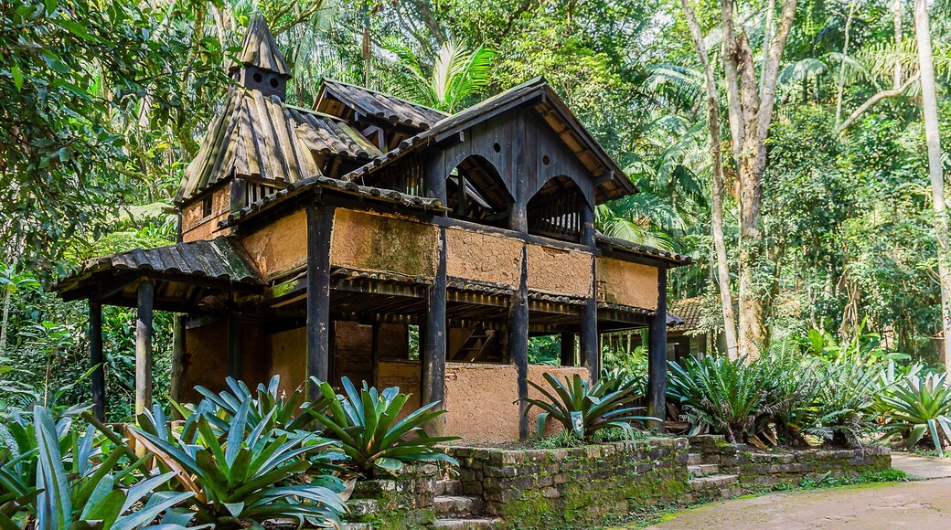 JARDIM BOTÂNICO - SÃO PAULO - BRASIL