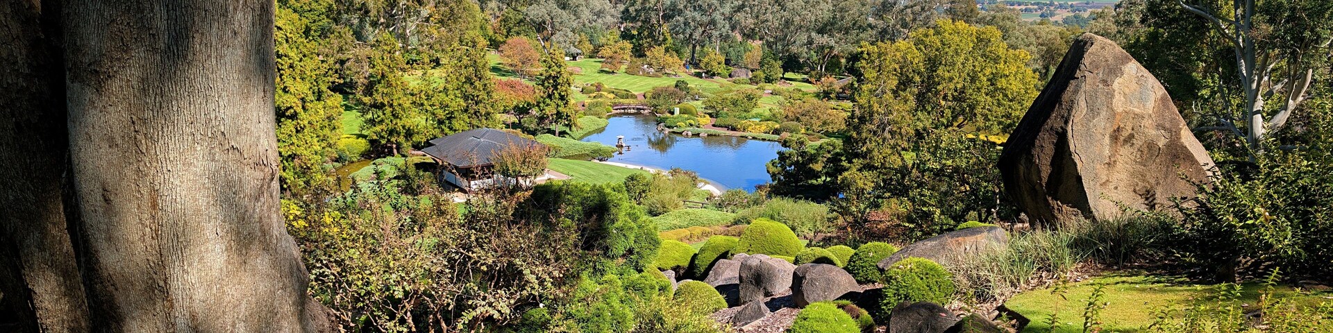 A view across various plantings in the Japanese Garden, Cowra, NSW, Australia.