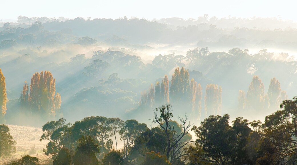 Australian country landscape panorama taken in Crookwell NSW. Golden Autumn colors on trees in the valley with mist and sun's rays. Rural. Australia. No people.