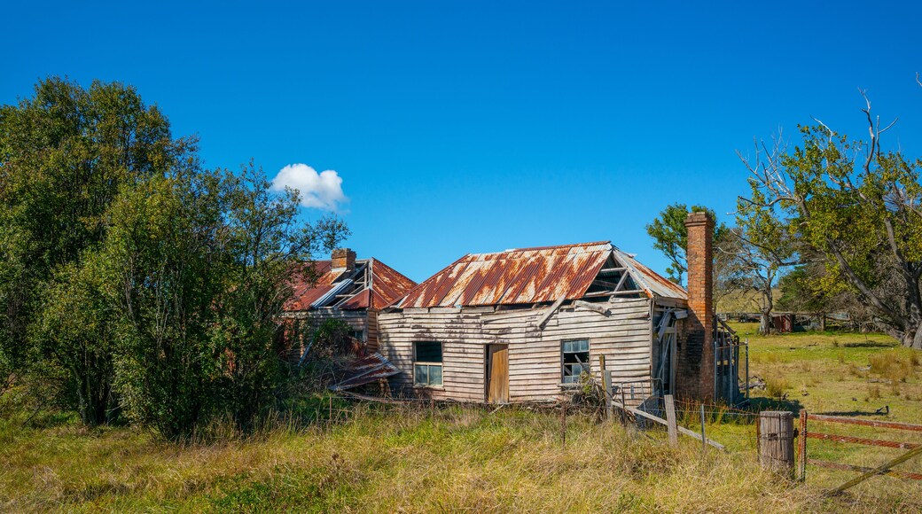 Une vieille maison en bois, dont le toit est rouillé, entourée d’arbres et d’herbe.