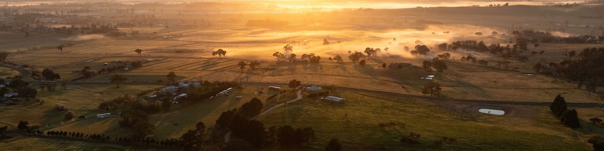 Paisaje rural con campos, árboles dispersos y pequeñas construcciones durante el amanecer.