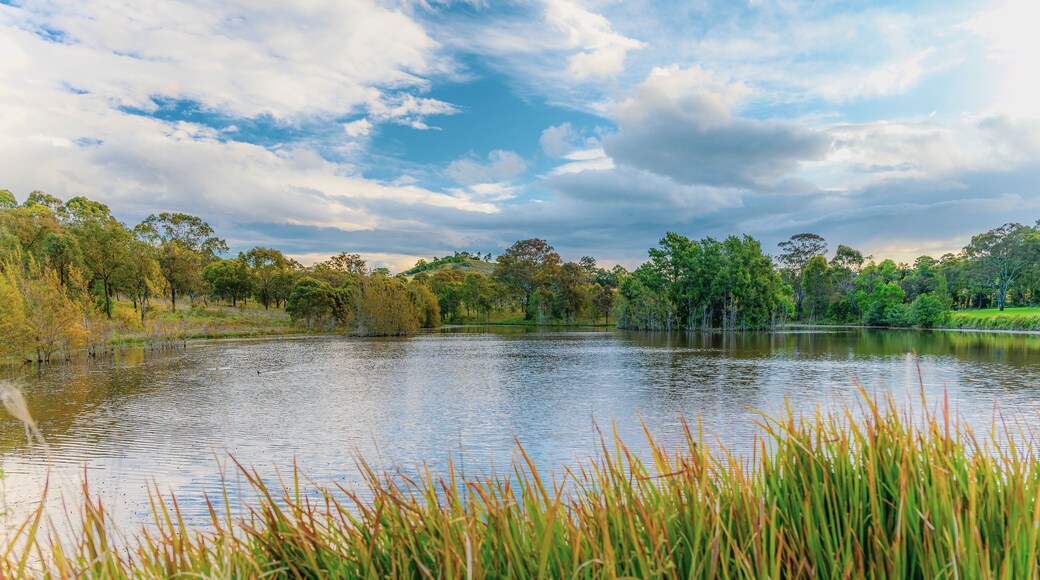 Ville de Campbelltown