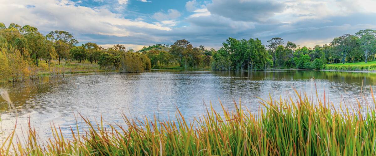 The Australian Botanic Garden, Mount Annan is the Australian native plant garden of the Royal Botanic Gardens, Sydney and covers 416 hectares