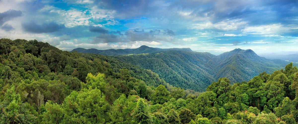 QE Dorrigo blueM Pan