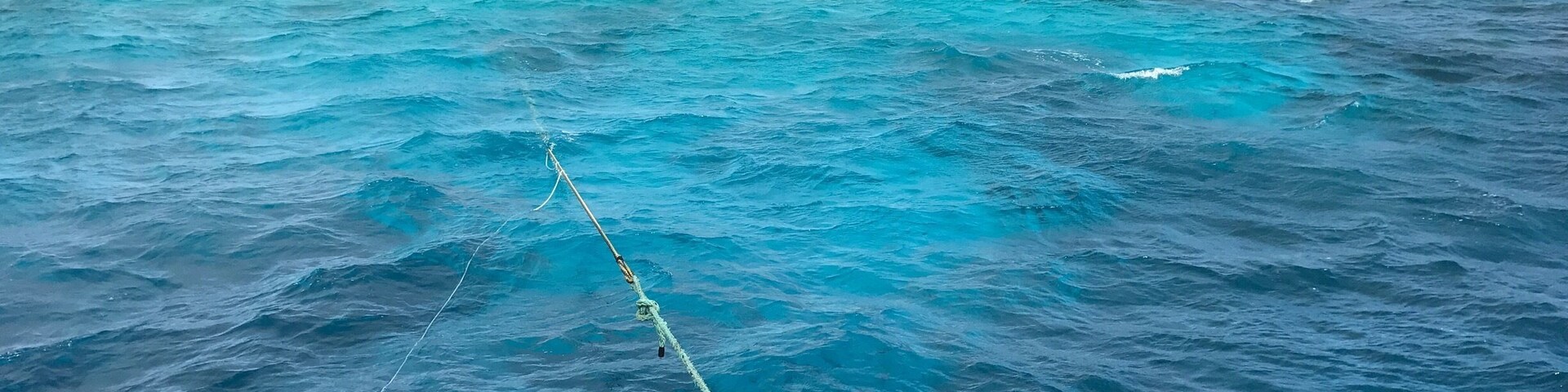Do not hesitate to go on a Mike Ball trip! This is the view off the dive deck... the water is so incredibly blue!