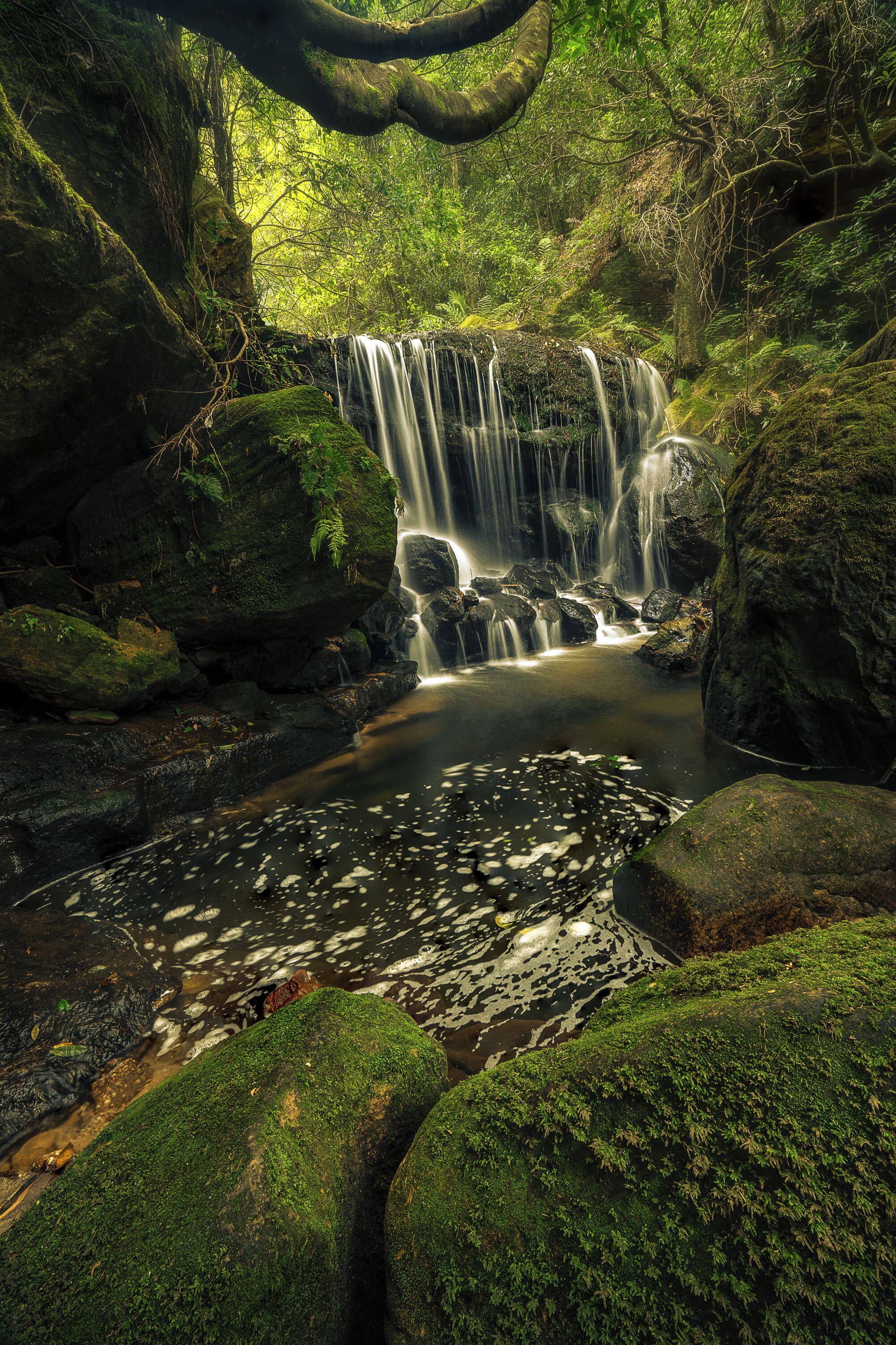 Weeping Rock falls sits just a few metres below the main waterfall at Leura however is usually looked over as the walking track veers in the other direction. Makes for a very quiet and isolated spot on an otherwise very popular walk in the Blue Mountains. #nature  #localsecrets