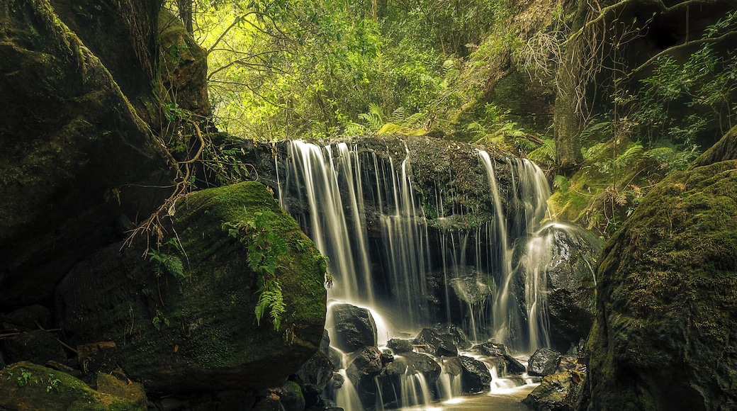 Weeping Rock falls sits just a few metres below the main waterfall at Leura however is usually looked over as the walking track veers in the other direction. Makes for a very quiet and isolated spot on an otherwise very popular walk in the Blue Mountains. #nature #localsecrets