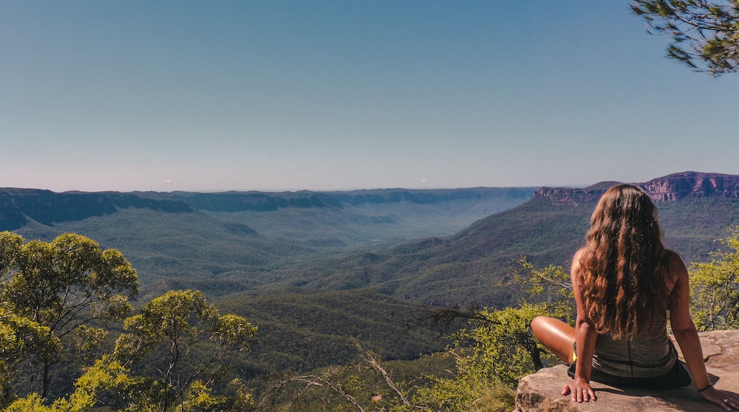 Concejo de la ciudad de Blue Mountains